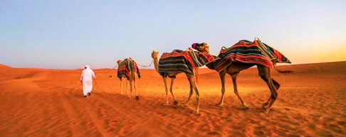 Desert Safari